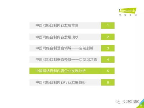 2017年中国网络自制内容行业研究报告 数字内容制作服务
